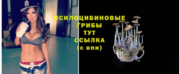 МДПВ Приозерск