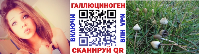 мега ссылка  Туран  Псилоцибиновые грибы Psilocybine cubensis 
